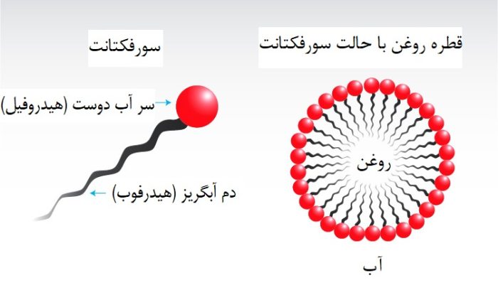 ساختار مولکول سورفکتانت با سر آب‌دوست و دم آبگریز